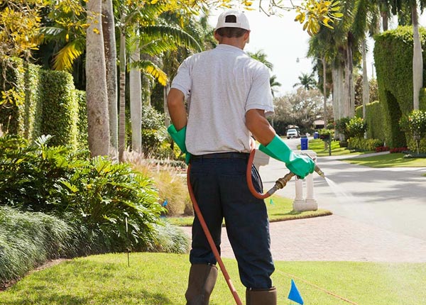 About Wellborn FL Pest Control Pros